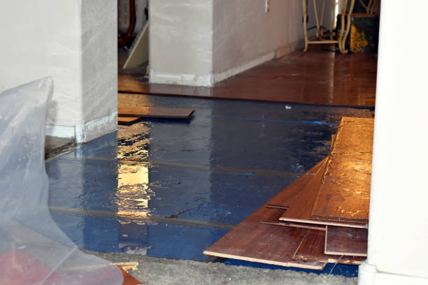 Professional Water Damage Restoration technician working in Ramsey, NJ